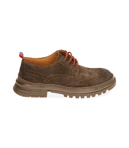 Stringate testa di moro in camoscio, Special Price, 2053T7129CMMORO039, 001