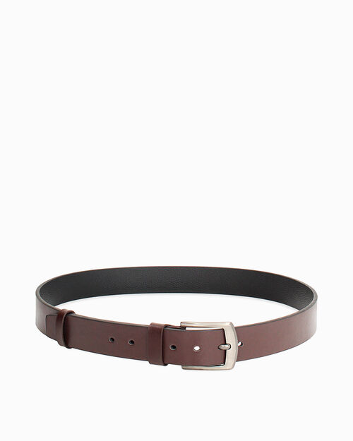 Cintura testa di moro fibbia argentata, DK BROWN