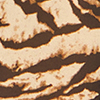 Camicia da donna con stampa animalier nera-beige