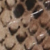 Sandali beige in eco-pelle, effetto snake skin, tacco-zeppa, 