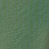 Copricostume da donna verde, 