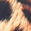 Mocassini leopard in lycra, 